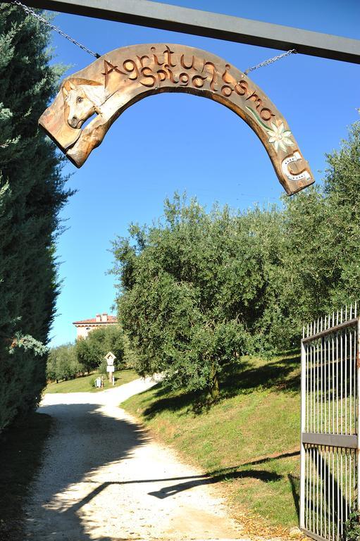 Agriturismo Spigolo Avesa Exterior foto